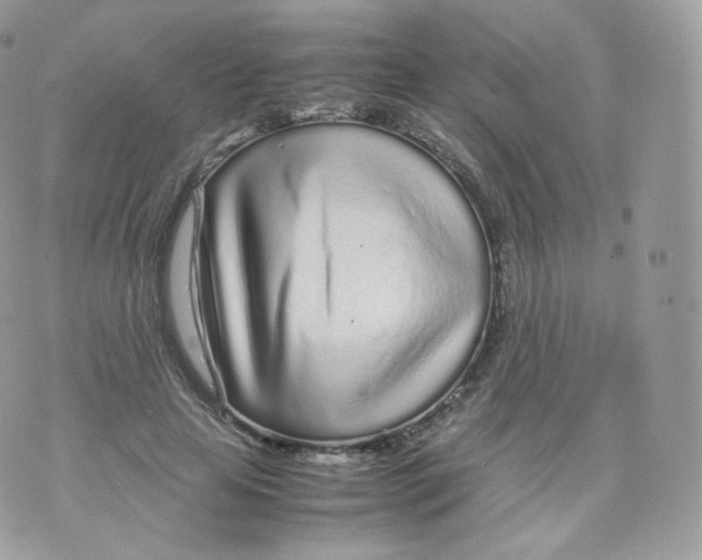 X0000070380641200606301922