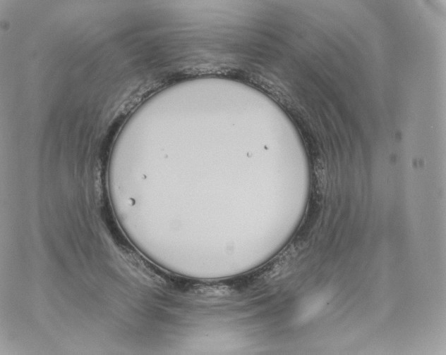 X0000070380642200606301922