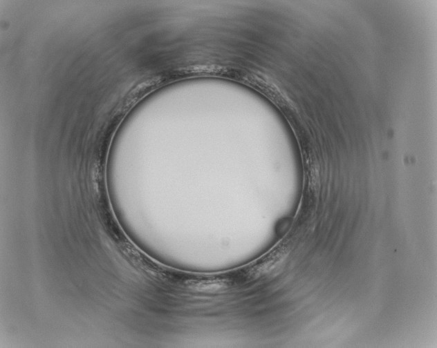 X0000070380643200606301922