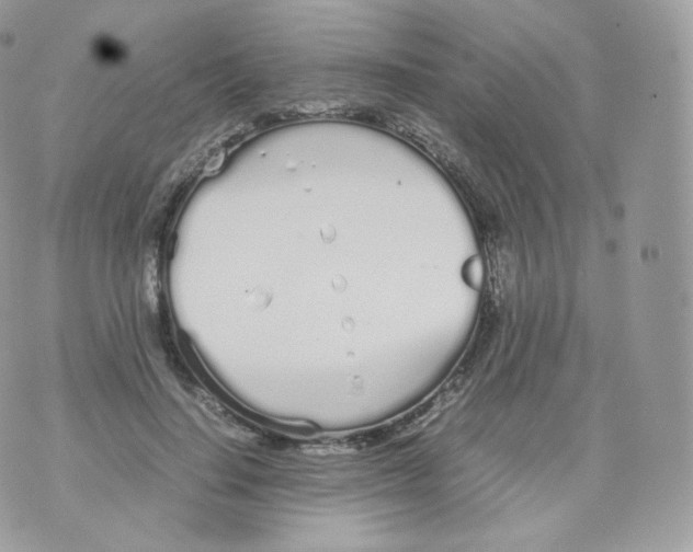 X0000070380644200606301922