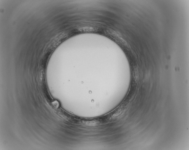 X0000070380645200606301922