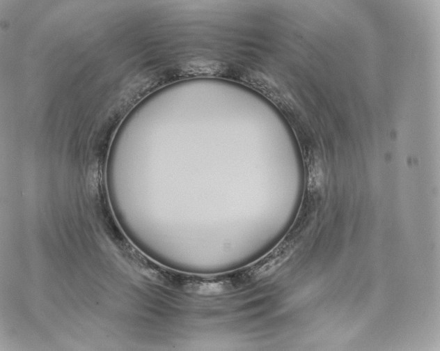 X0000070380647200606301922