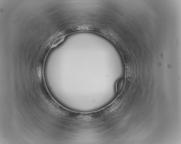 X0000070380648200606301922