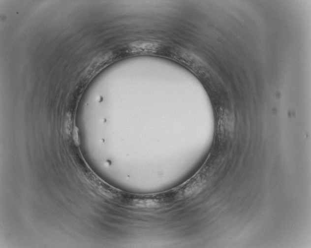 X0000070380649200606301922