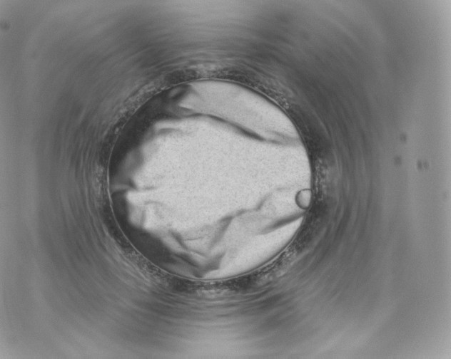 X0000070380650200606301922