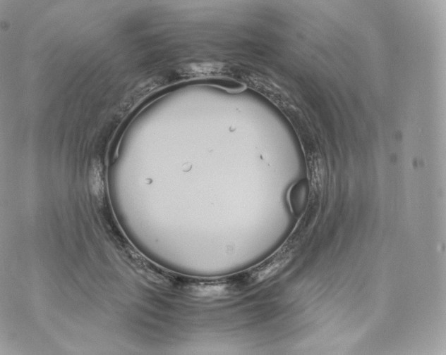 X0000070380651200606301922