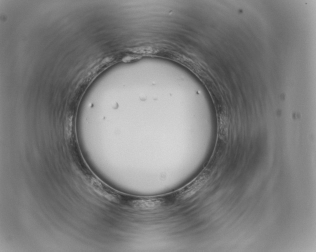 X0000070380652200606301922