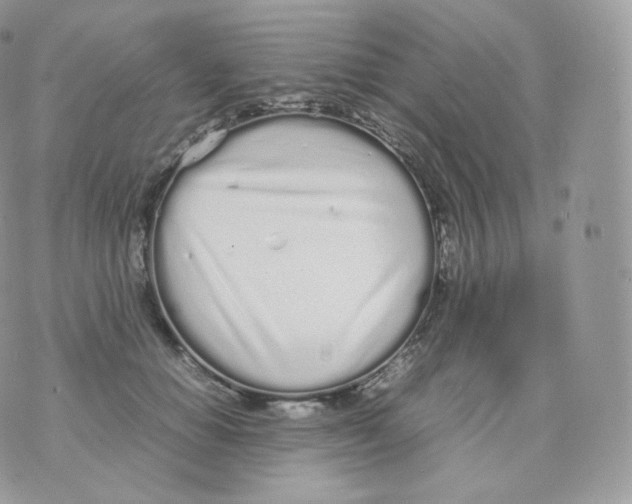 X0000070380654200606301922