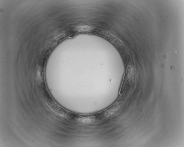 X0000070380655200606301922