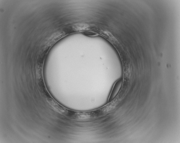 X0000070380658200606301922