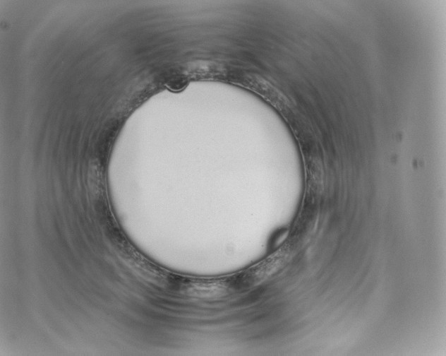 X0000070380659200606301922