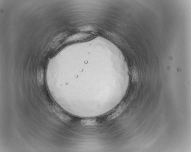 X0000070380660200606301923