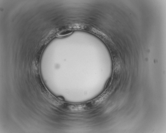 X0000070380661200606301923