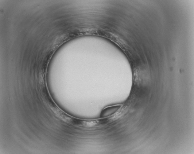 X0000070380662200606301923