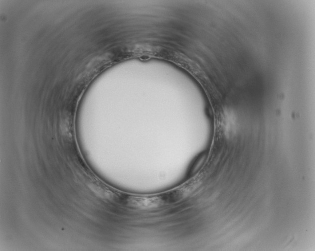 X0000070380663200606301923