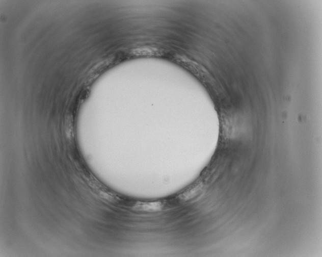 X0000070380665200606301923