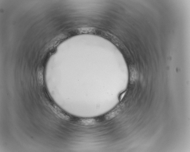 X0000070380666200606301923