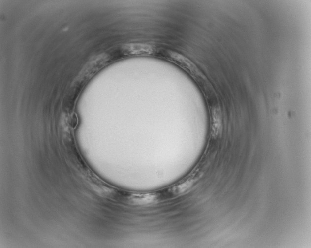 X0000070380667200606301923