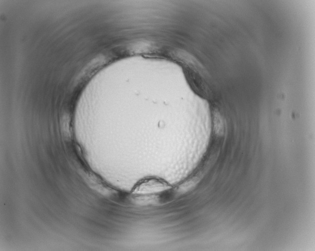 X0000070380670200606301923