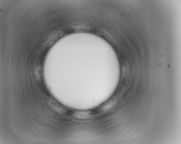 X0000070380671200606301923