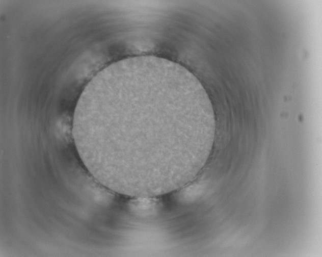 X0000070380672200606301923