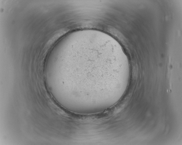 X0000070380673200606301922