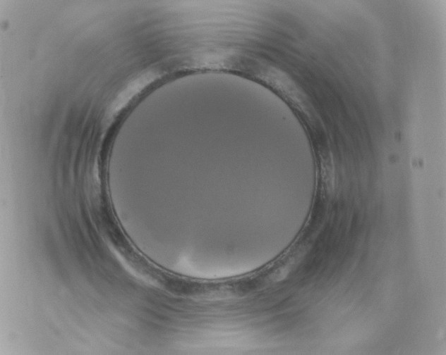 X0000070380674200606301922