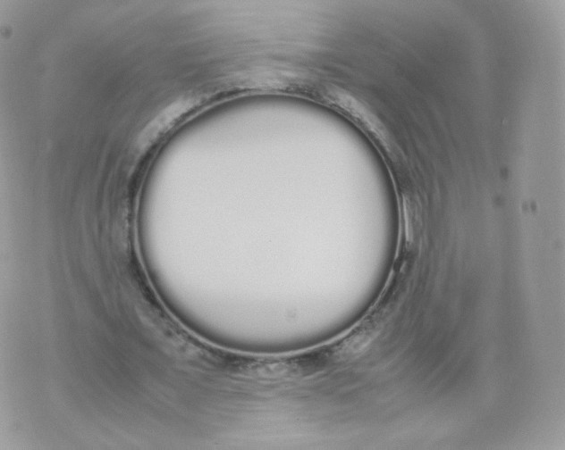 X0000070380675200606301922