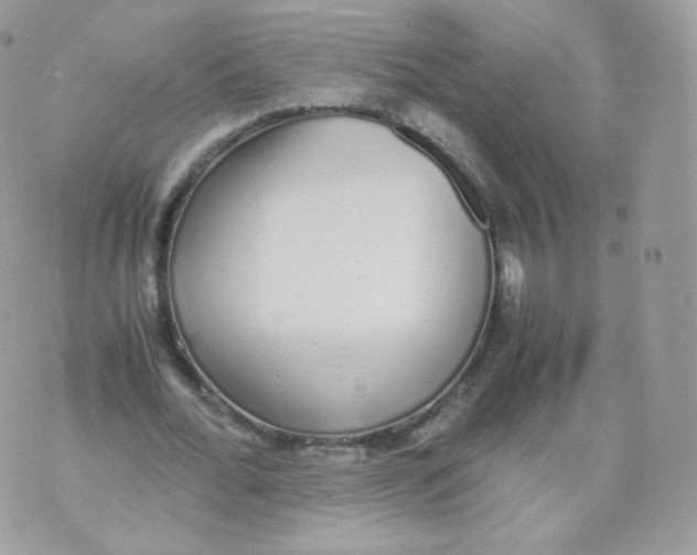 X0000070380676200606301922