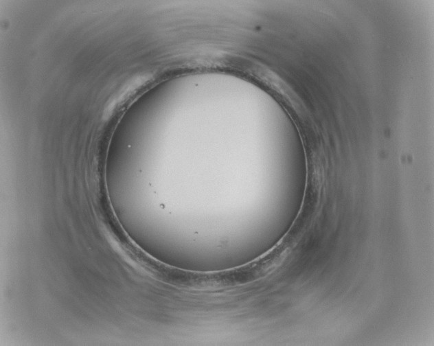 X0000070380677200606301922