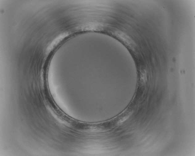 X0000070380678200606301922