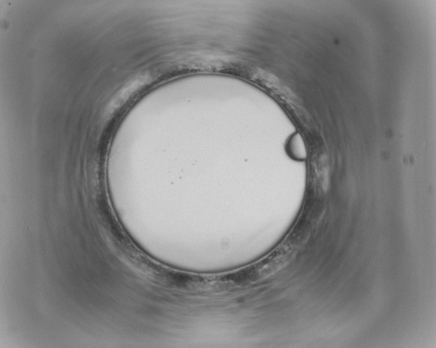 X0000070380679200606301922