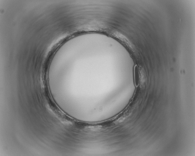 X0000070380680200606301922