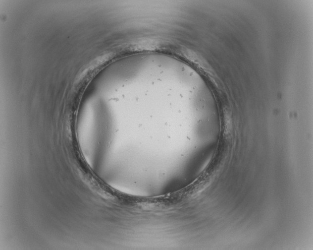 X0000070380681200606301922