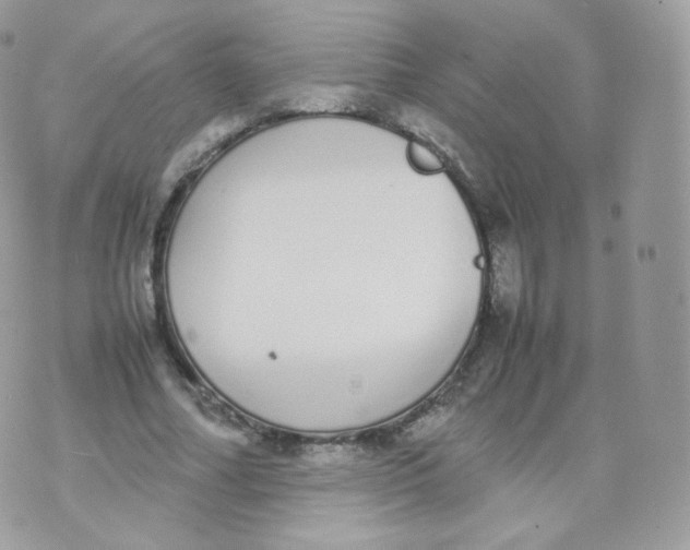 X0000070380682200606301922