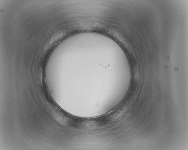 X0000070380685200606301922