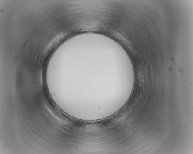 X0000070380686200606301922