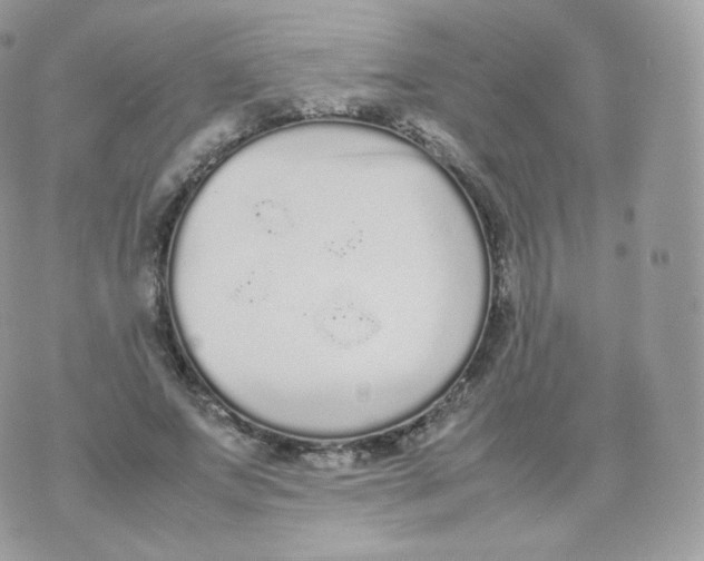 X0000070380687200606301922