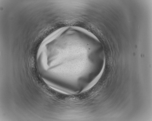 X0000070380689200606301922