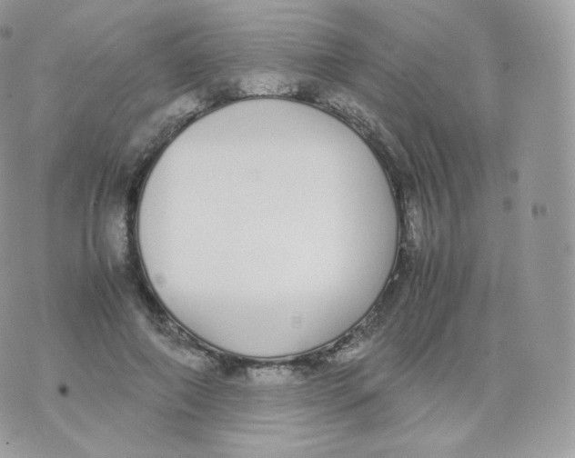 X0000070380690200606301922