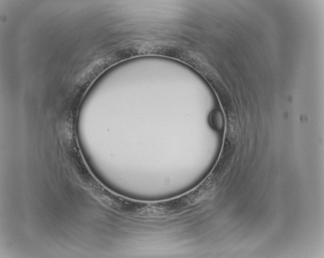 X0000070380691200606301922