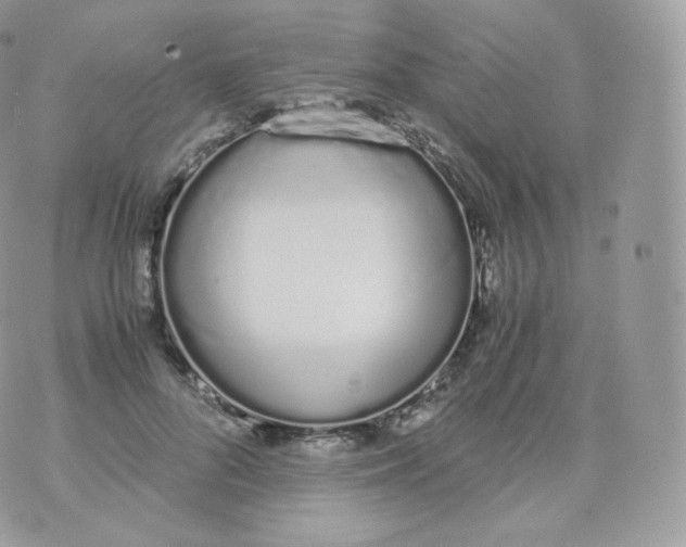 X0000070380696200606301922