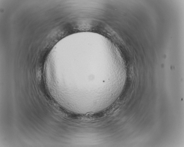 X0000070380697200606301922