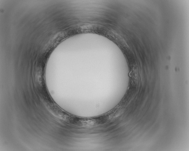 X0000070380698200606301922