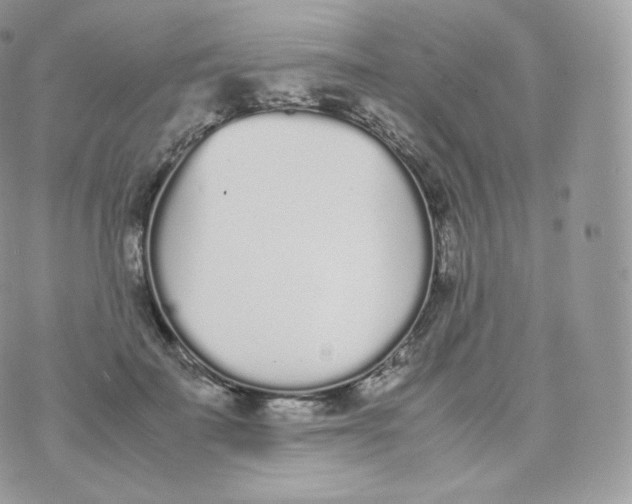 X0000070380699200606301921