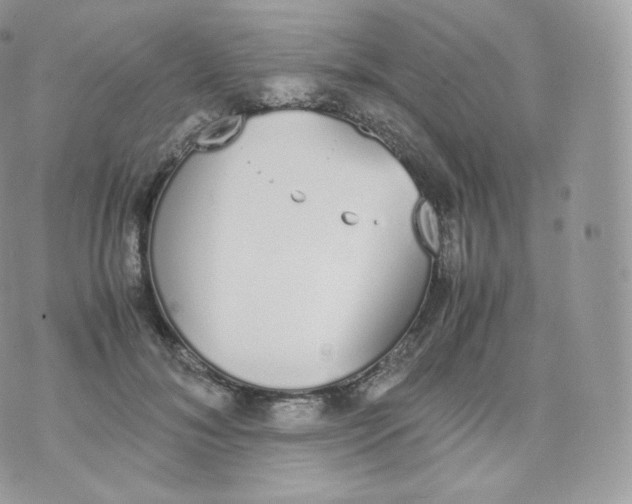 X0000070380700200606301921