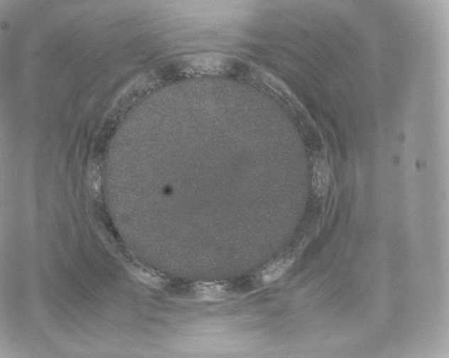 X0000070380701200606301921