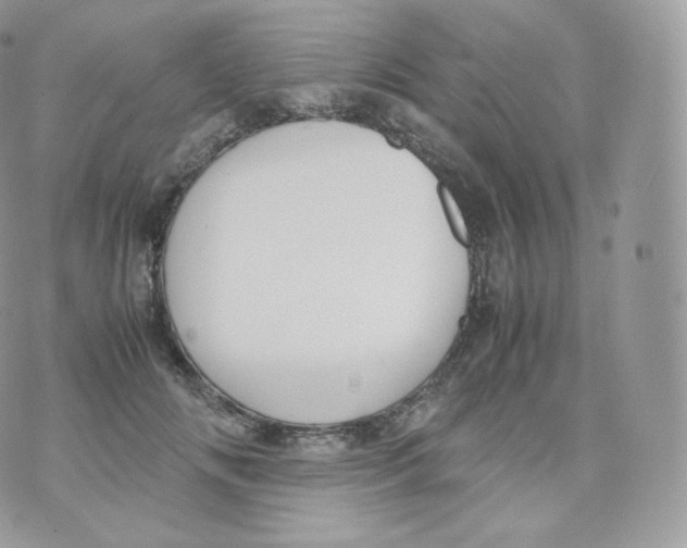 X0000070380702200606301921