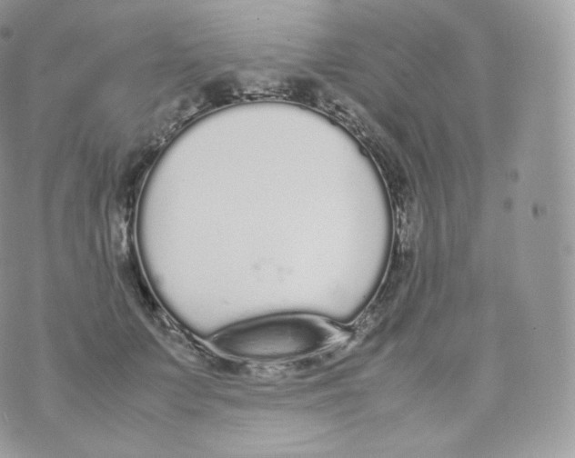 X0000070380703200606301921