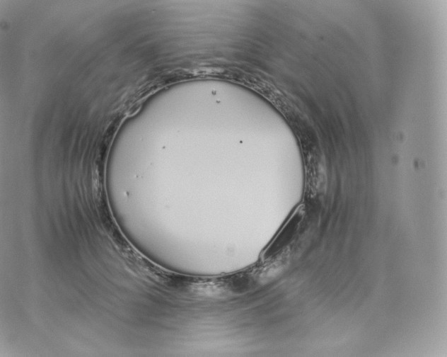 X0000070380704200606301921